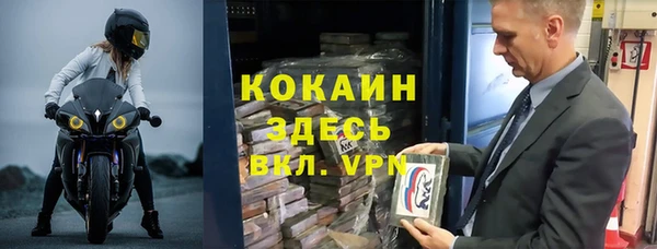 прущие грибы Балахна