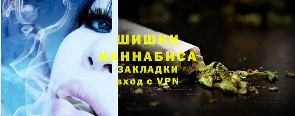 прущие грибы Балахна
