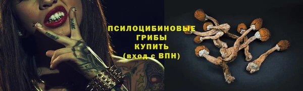 прущие грибы Балахна