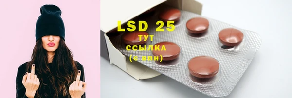 прущие грибы Балахна