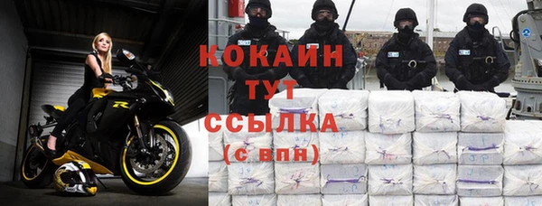 прущие грибы Балахна