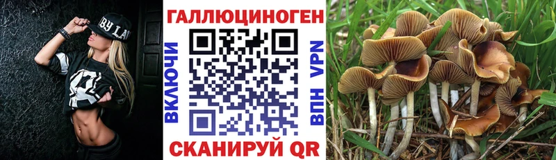 Псилоцибиновые грибы мицелий  закладка  Верхняя Салда 