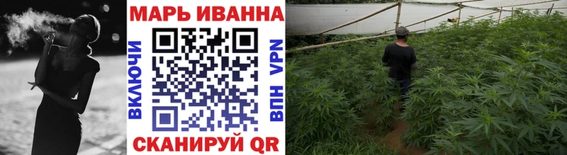 наркота  Верхняя Салда  Конопля сатива 